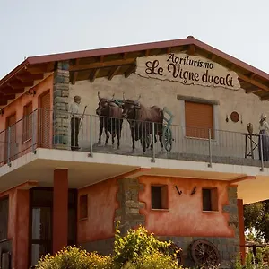 Le Vigne Ducali Màndas